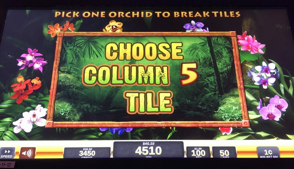 Jungle Riches post bonus selection