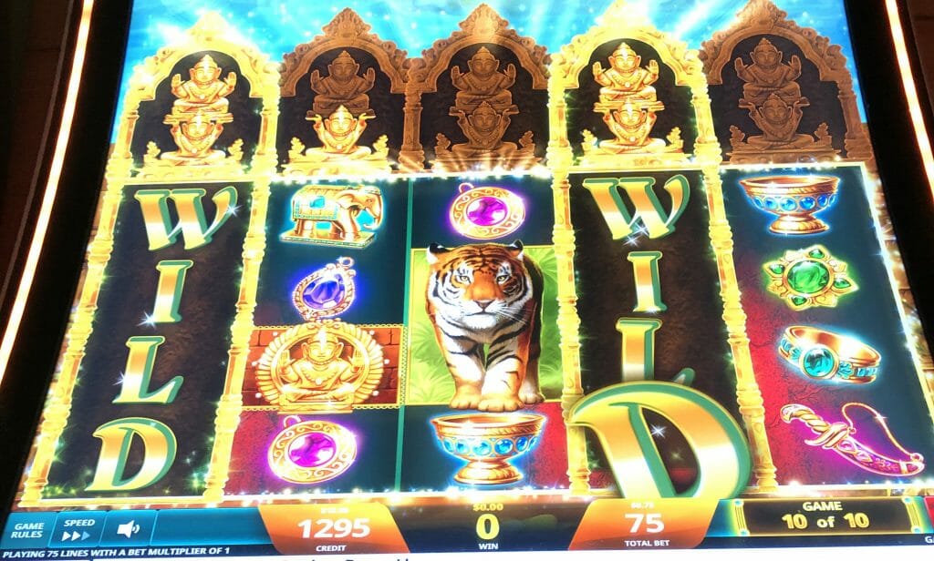 Golden jungle grand slot Golden jungle grand slot
